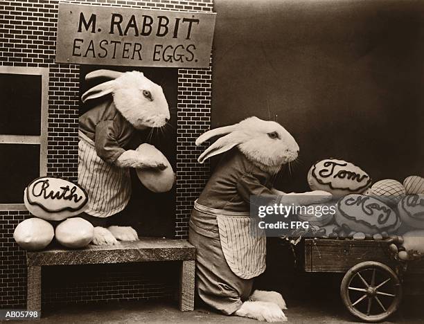 two rabbits loading easter eggs onto cart (toned b&w) - archive 2005 stock pictures, royalty-free photos & images