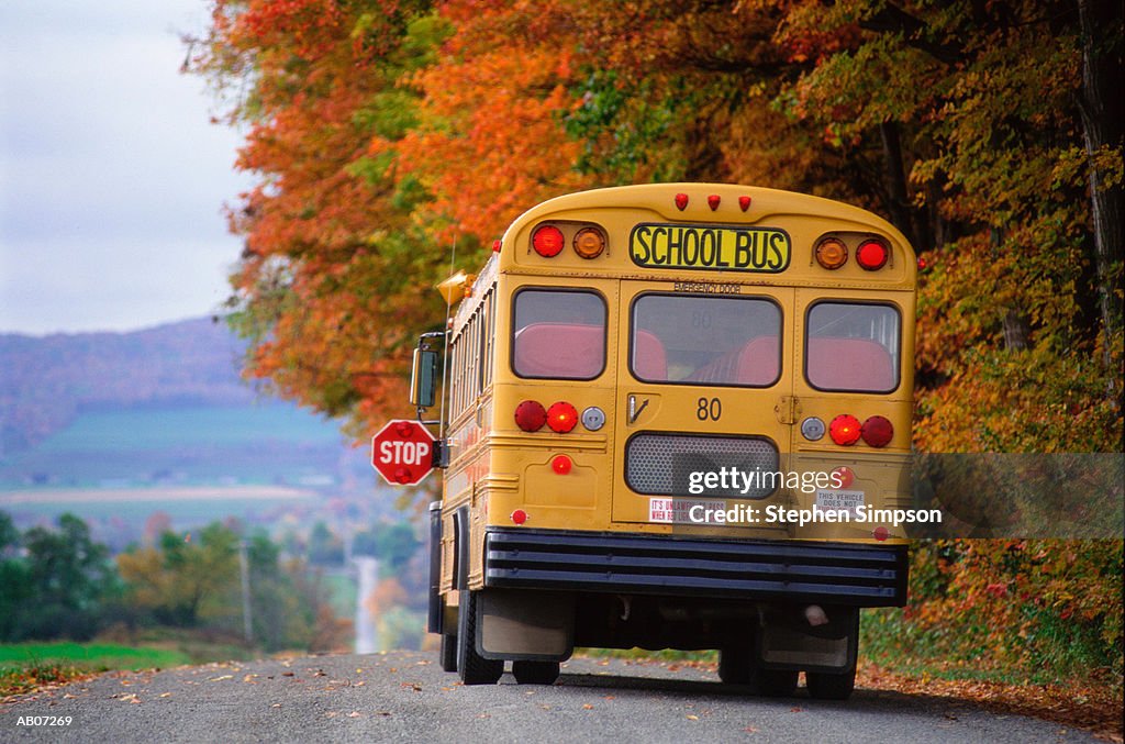 School bus on country road