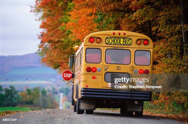 school bus on country road - school bus stock pictures, royalty-free photos & images