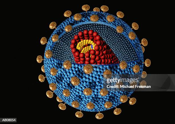 hivvirus - retrovirus stock pictures, royalty-free photos & images
