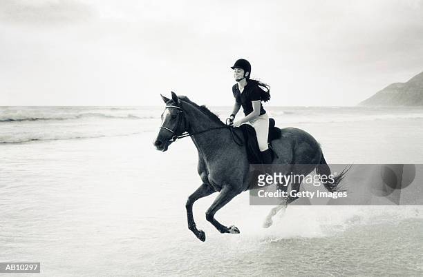 woman riding horseback on beach - recreational horseback riding stock pictures, royalty-free photos & images