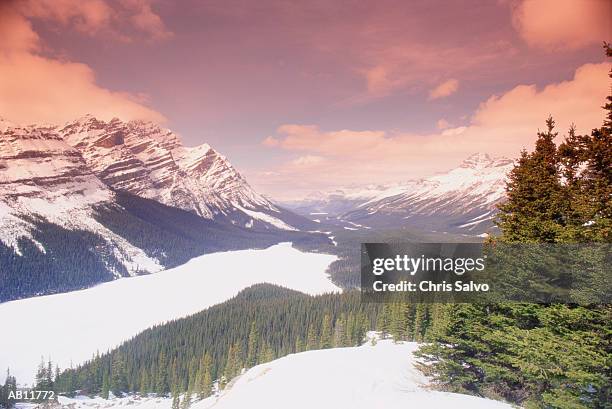 canada, alberta, bow lake and mountains in snow, elevated view - bow valley fotografías e imágenes de stock