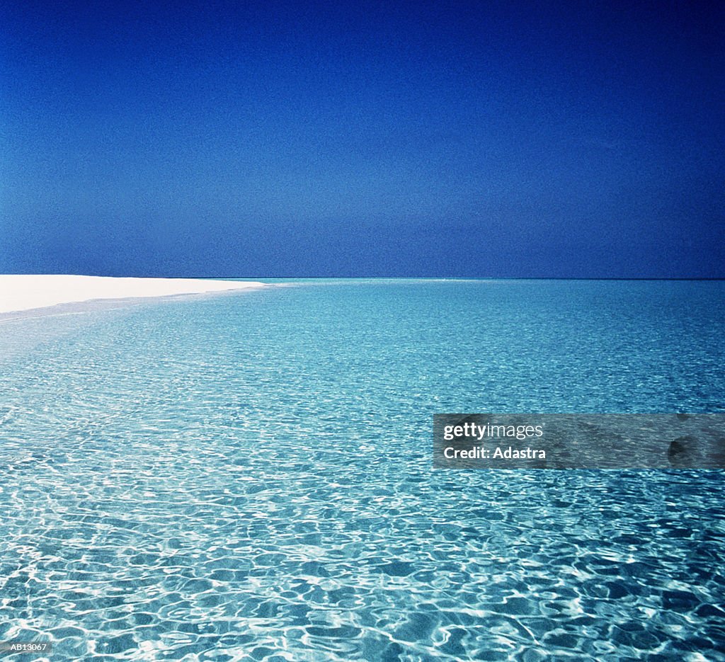 TROPICAL WATERS OF THE MALDIVE ISLANDS, THE INDIAN OCEAN