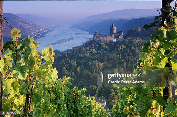 romantic town of bacharach in the rhine valley / germany - bacharach stock pictures, royalty-free photos & images