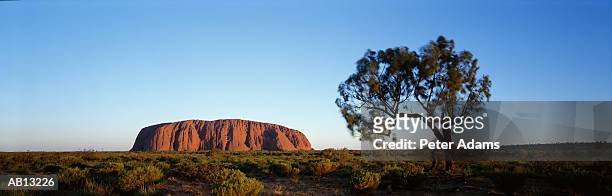 australia, northern territory, uluru national park, ayers rock - uluru kata tjuta national park stock pictures, royalty-free photos & images