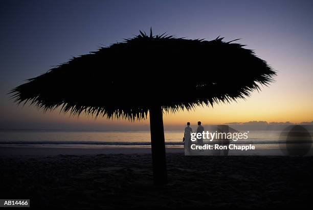 couple at sunset, harbor island, bahamas - isla harbor fotografías e imágenes de stock