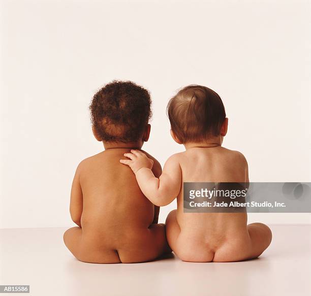 back view / black & white babies sitting together - black bum 個照片及圖片檔