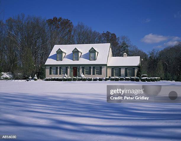house and yard covered with snow - peter snow stock pictures, royalty-free photos & images