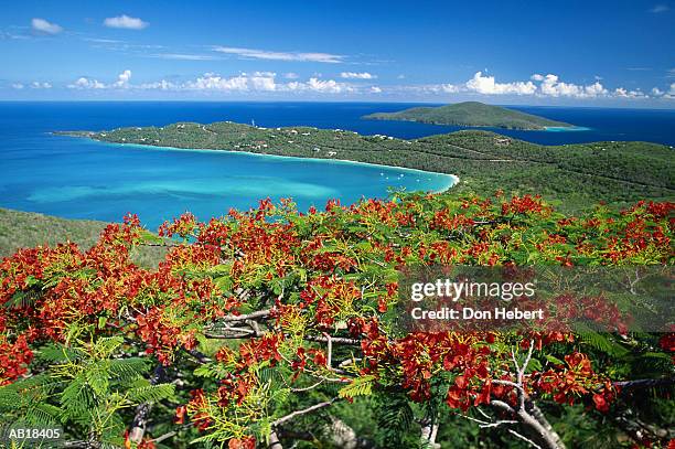 united states virgin islands, saint thomas, magens bay, elevated view - magens bay stock-fotos und bilder