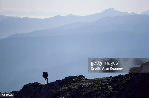 hiker looking at mountain valley, silhouette - mt shuksan stock pictures, royalty-free photos & images