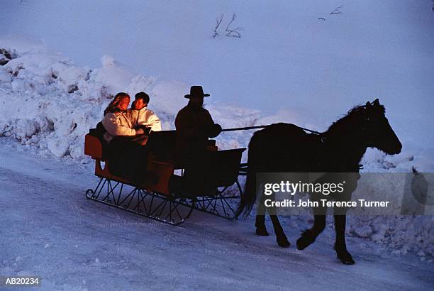 17 One Horse Open Sleigh Stock Photos and High-Res Images - Getty