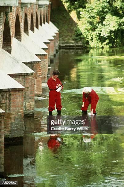 two women taking river water samples portrait format - willis stock-fotos und bilder