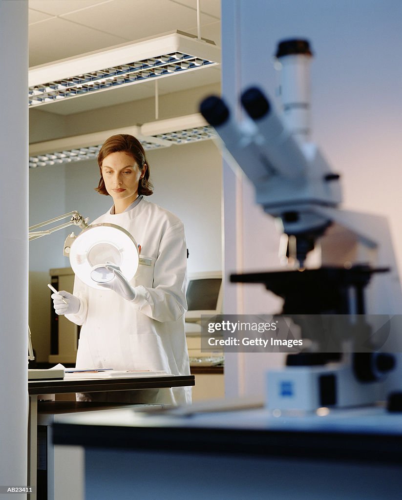 Scientist looking at culture dish through magnify glass in lab