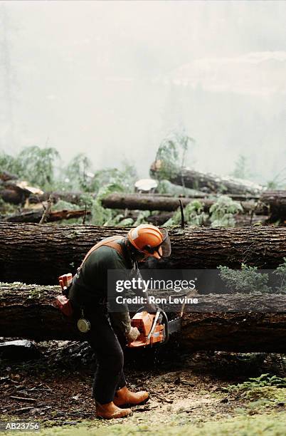 lumberjack cutting felled trees with chainsaw, rear view - houthakker stockfoto's en -beelden