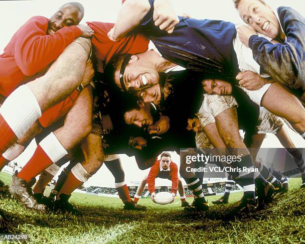 rugby players in scrum - scrum stock pictures, royalty-free photos & images
