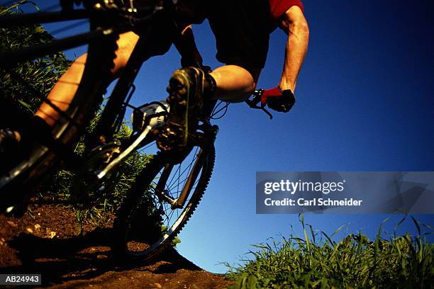 man riding bicycle up path, low angle view - schneider bildbanksfoton och bilder