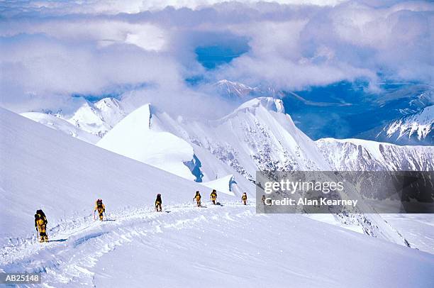 women climbing mount mckinley, alaska, usa - kearney group stock pictures, royalty-free photos & images