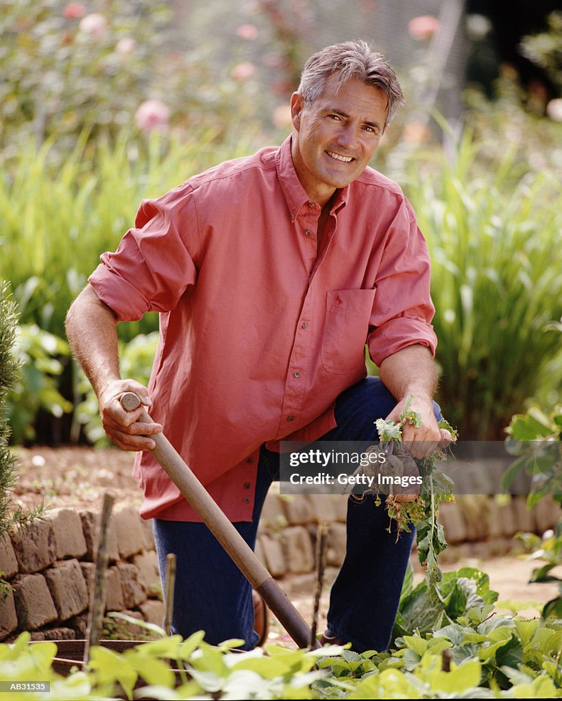 Mature man weeding in garden with spade