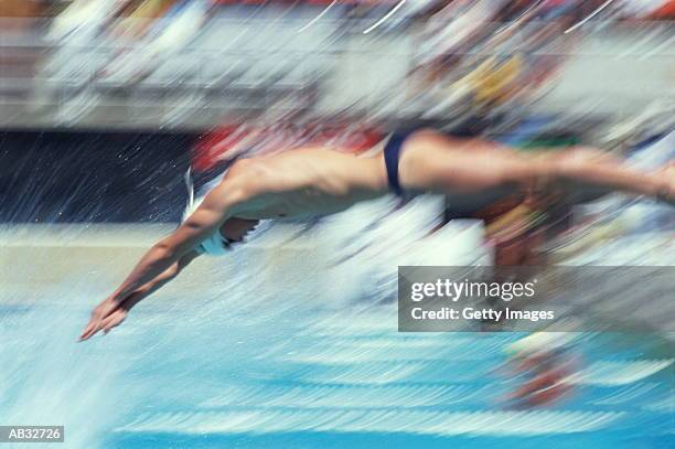 competetive swimmers diving into pool - competetive stock pictures, royalty-free photos & images