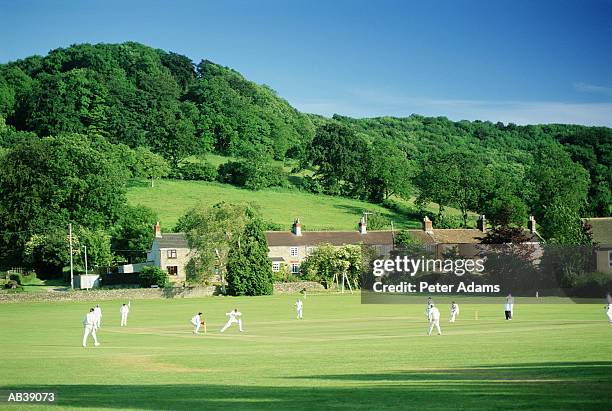 people playing cricket village green - クリケット ストックフォトと画像
