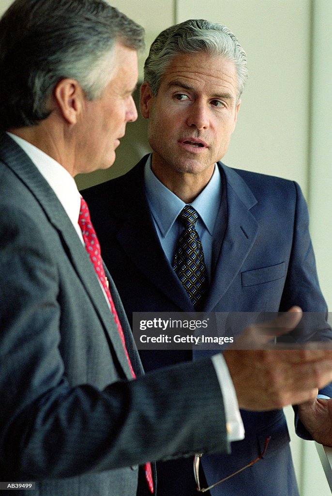 Mature businessmen in meeting