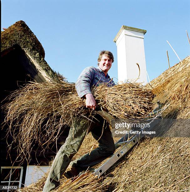 man building thatched roof - かやぶき屋根 ストックフォトと画像