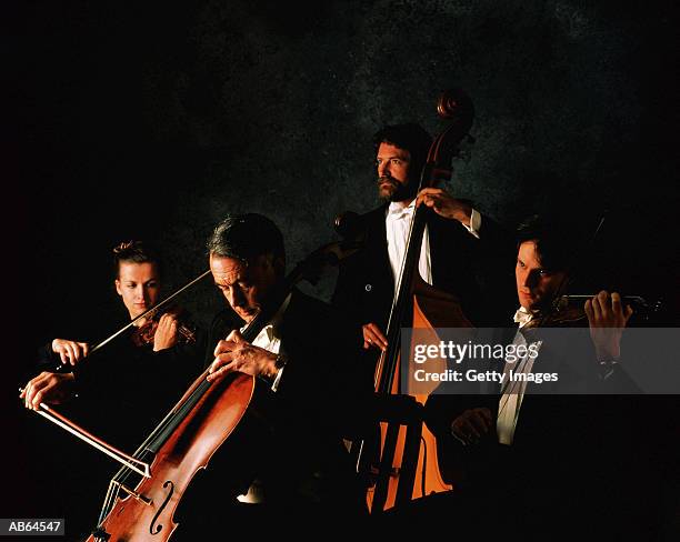string section of orchestra - orchestra stock-fotos und bilder