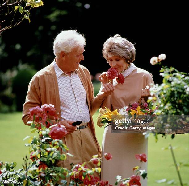 mature couple smelling roses in garden - spring romance stock pictures, royalty-free photos & images