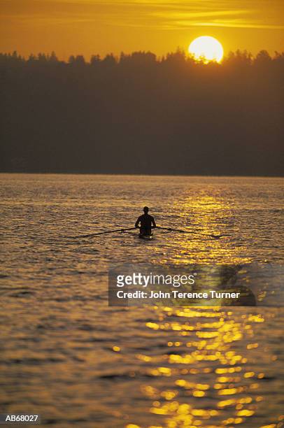 man rowing on lake in single scull at sunset - single scull bildbanksfoton och bilder