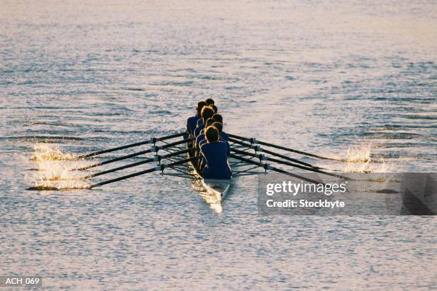 rowers in eight-person racing shell - remo de punta fotografías e imágenes de stock