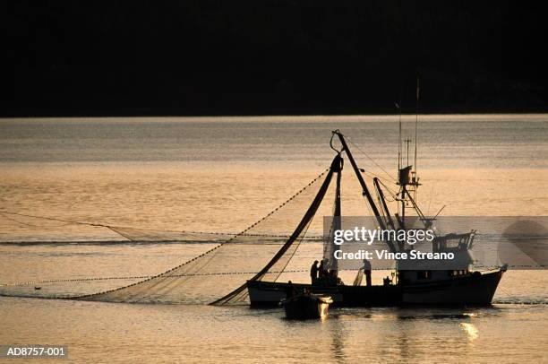 commercial fishing boat on tranquil bay, silhouetted at sunset,elevate - trawler stock-fotos und bilder