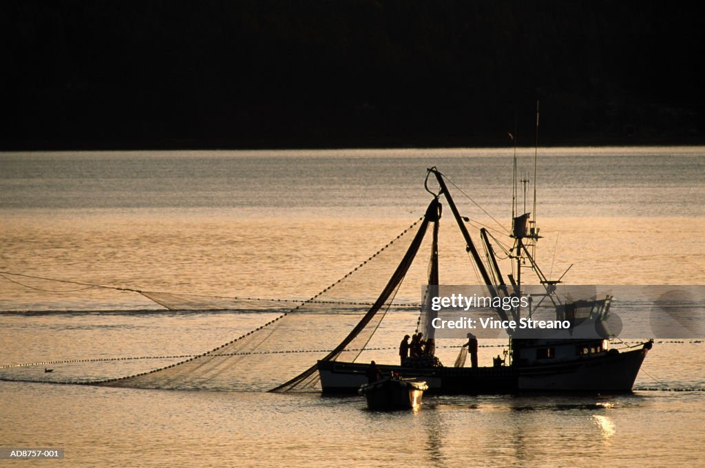 Commercial fishing boat on tranquil bay, silhouetted at sunset,elevate