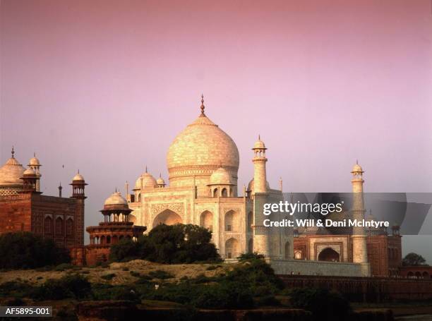 india,agra,the taj majal - agra stock pictures, royalty-free photos & images