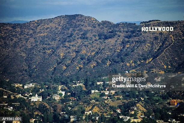 hollywood sign on hillside - hollywood sign bildbanksfoton och bilder