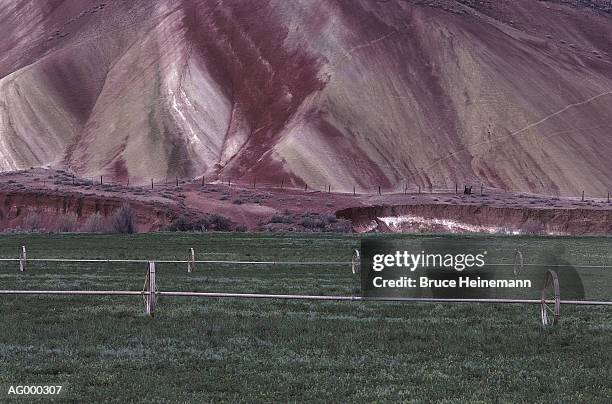 john day fossil beds oregon - letto fossile foto e immagini stock