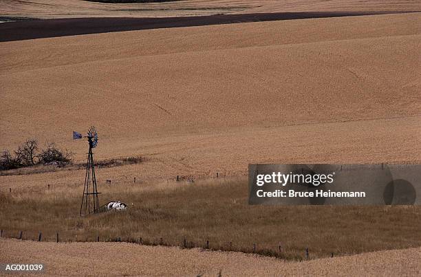 palouse wheat field - 工業用風車 ストックフォトと画像