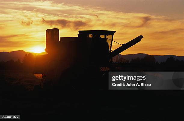 combine harvester silhouette - combine foto e immagini stock