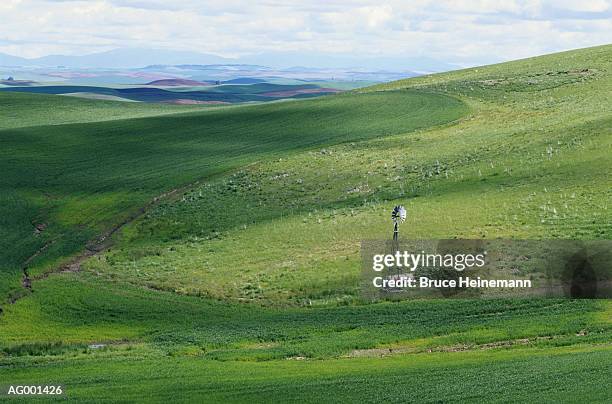 palouse wheatfields - mulino a vento stile americano foto e immagini stock