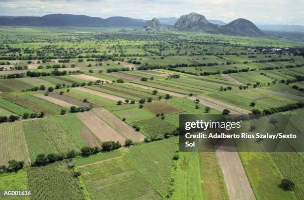 farm fields at morelos - morelos stock pictures, royalty-free photos & images