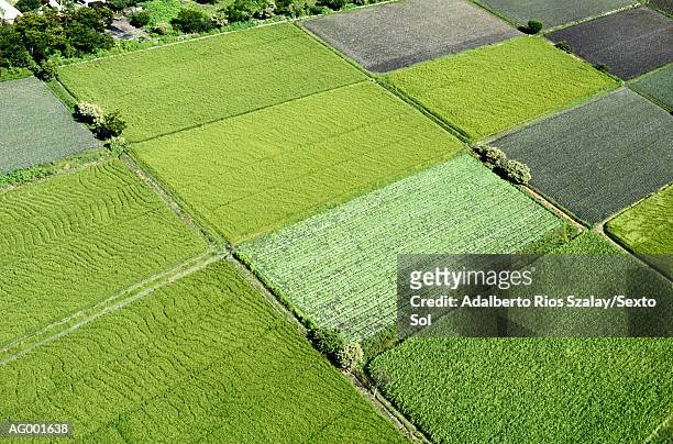 farm fields at morelos - morelos stock pictures, royalty-free photos & images