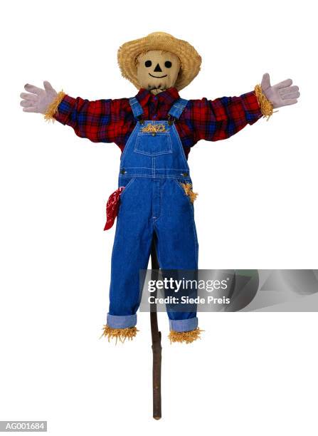 scarecrow - scarecrow stock pictures, royalty-free photos & images