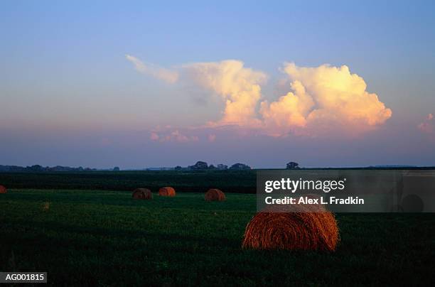 usa, wisconsin, bales of hay in field - sawyer_county,_wisconsin stock-fotos und bilder