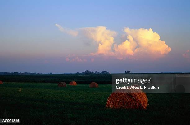 usa, wisconsin, bales of hay in field - staadts,_wisconsin stock pictures, royalty-free photos & images