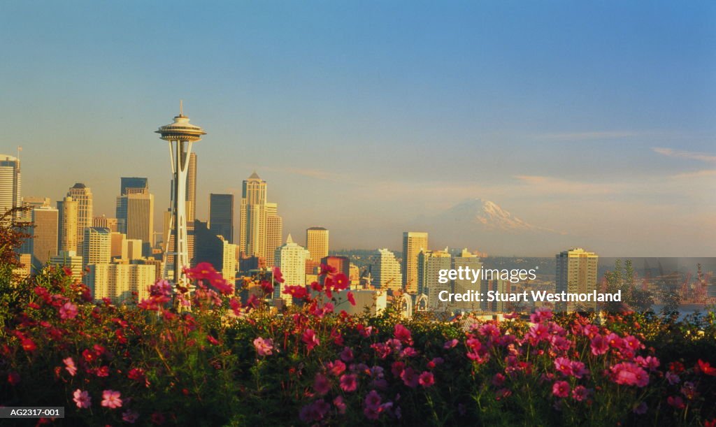 USA, Washington, Seattle, city skyline, flowers in foreground