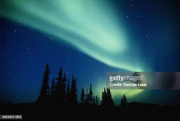 aurora borealis (northern lights), northwest territories, canada - aurora borealis fotografías e imágenes de stock