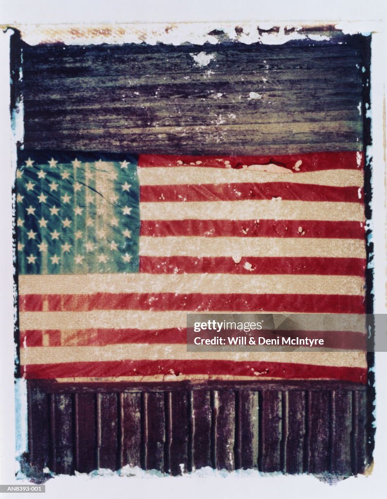 American flag on barn wall, North Carolina, USA (transfer image)