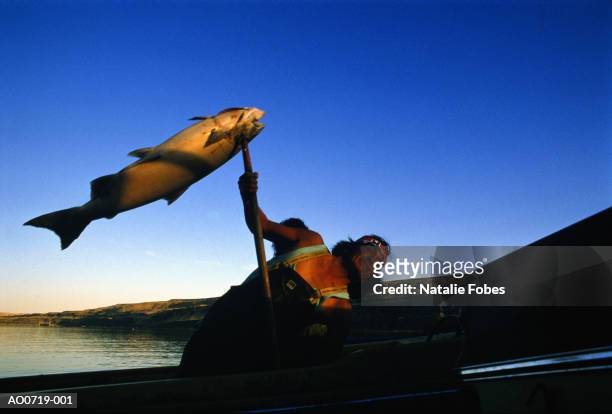 usa, washington, yakima indian hauling king salmon into boat - chinook salmon imagens e fotografias de stock