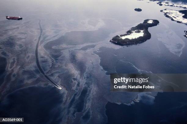 usa, alaska, prince william sound, exxon valdez oil spill - oil slick stock pictures, royalty-free photos & images