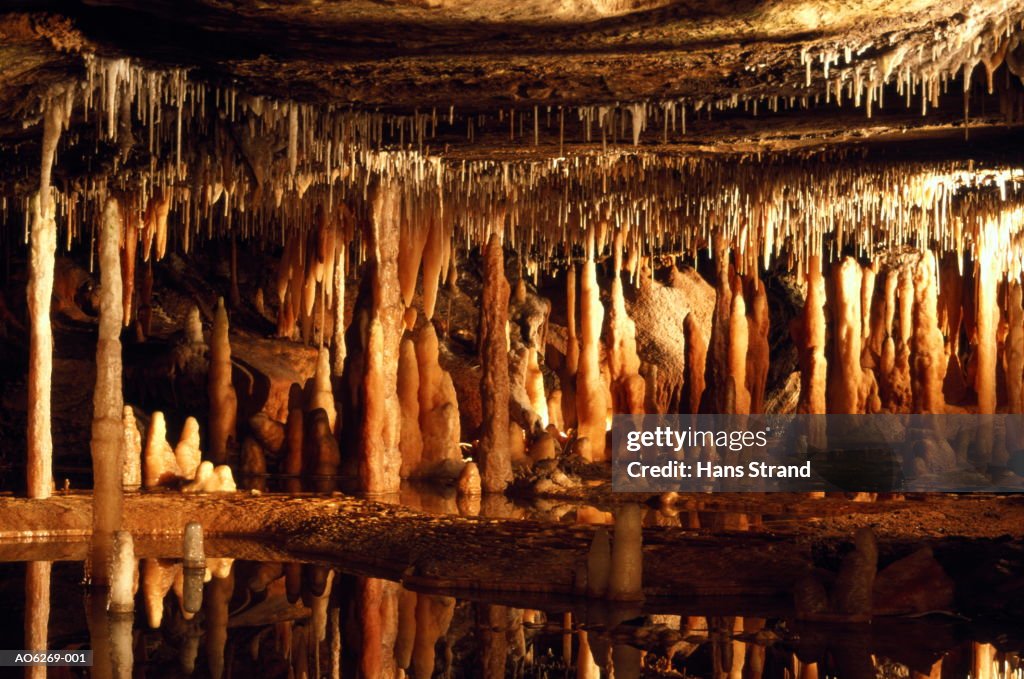 Australia,Victoria,Buchan Caves Reserve,stalactites and stalagmites