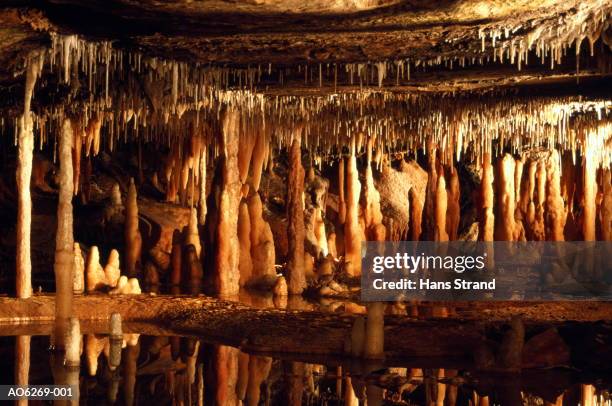 australia,victoria,buchan caves reserve,stalactites and stalagmites - stalagmite stock pictures, royalty-free photos & images
